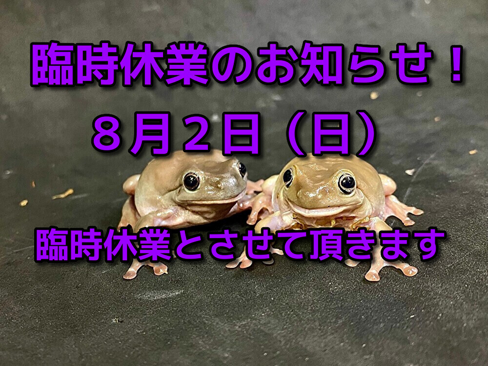 臨時休業